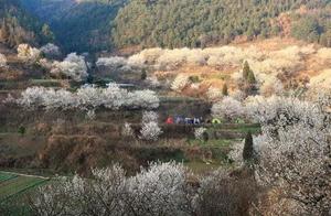 Entering Lushui Hongshi Valley·Cherry Grove Scenic Area