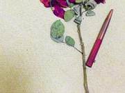 Vancy’s Diary: The Key to Loving Yourself is to Do These Three Things Every Day