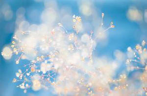 Many people have dreams, but few persevere.