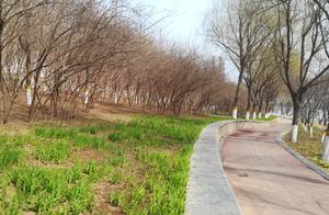 Spring Notes: Go See Spring