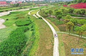 Spring Wetlands and Fragrant Blossoms