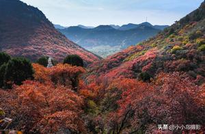 Linqu - Shimenfang Red Maple Forest