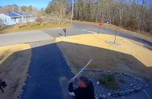 American Man Uses Metal Rod to Repel Dog Pack That Has Injured 12 People