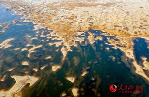Xinjiang: Wetlands Park - Birds in Flight