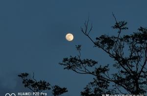 Rural Essays: Hometown Lies Near the Moon