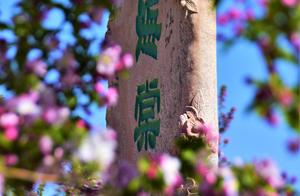 Yuan Dynasty’s ‘Sea Plum Blossom Creek’