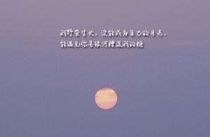 Sweet Words | I Walked Towards You, Your Dusk is My Return Gift