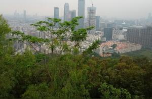 Flag Hill After the Pandemic