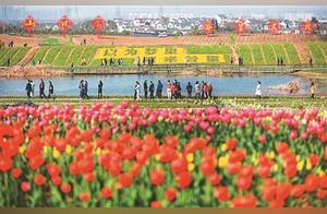 Nanjing Beautiful Rural Tourism Economic Gradually Recovers and Revives
