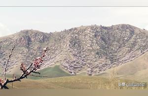 Cycling Ilili Turgen Almond Blossom Valley: A Rollercoaster Ride, Camp Setup Only in the Early Hours