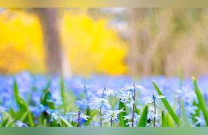 Letting Go and Finding Peace in Midlife