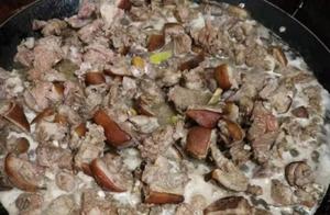 Eating in Guangping: A History of Dog Meat During the Summer Solstice – Is It Time to Say Goodbye?