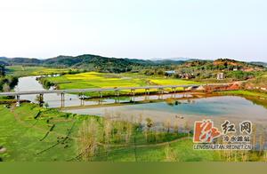 Lengshui Tan: Continuous Fields of Rapeseed Flowers Accompany Spring Ploughing