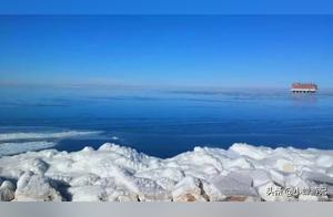 Come to Qinghai Lake This Winter! Meet with 1500 Great White Swans