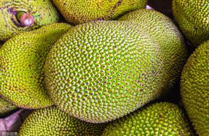 Those Little-Known Facts About Fruit - The Ultimate Fruit! The Most Expensive at $70,000+