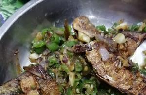 Six Sea Fish for 10 Yuan, Enough for Three People Plus Lunch Tomorrow - Is That a Bargain?