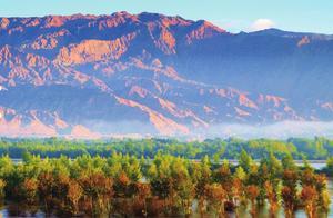 Guode County's Ecological Forest System
