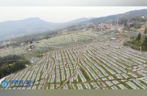 Zhongcounty: Peach and Plum Blossoms Bloom in Competition, Creating a Beautiful Spring Landscape