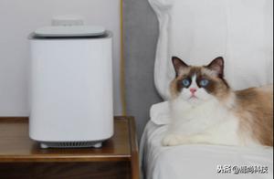 Xiaomi Launches the Value King, 5-Layer Filtration, 469 Price for 4680 Quality