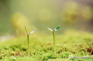 Only by setting out, there is a possibility of arrival. Never starting, you will never be able to realize your dreams.