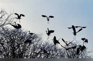 Editor's View of Sui Xian: That Unexpected Surprise Was Right Beside Us