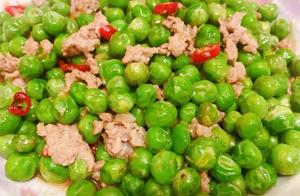 How to Stir-Fry Snow Peas and Pork Belly – Dinner Rice Won't Be Enough, You'll Want to Eat a Big Spoonful!