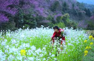 Li Zi Qi Rides a Horse to Pick Flowers and Make Food, Seeing the Wild Scenery, Netizens: 'This is What Spring Is Like!'