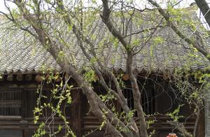Complete Relocation of Qing Dynasty Qianlong Emperor-Inscribed Old House from Yemudian County, Xi'an, to Longwo Winery Courtyard