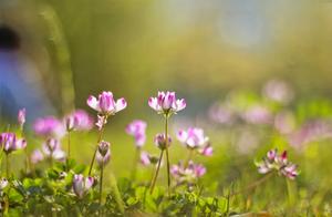 Heroes Return in Triumph; Enjoying the Spring