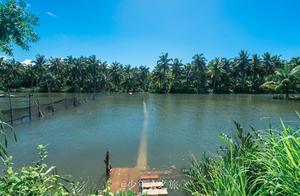 Sanya's Ultra-Niche Yechizi Island: Requires Local Guidance to Find
