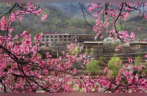 Million Fan Influencer Check-in Spot: Let's Explore Taishan Grand Canyon Together!