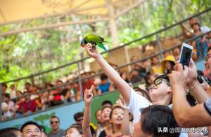 Real-Shot Footage of Scenic Animal Park: The Joy Wild Animals Bring You, Do You Remember?