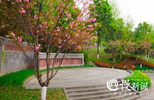 Main City Qingcheng Park Surroundings Also Have Qingming Festival Spots: Ancestral Worship and Spring Travel Combined
