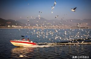 Yunnan People Prefer to Call Lakes 'Sea,' Yet Name the Largest Lake 'Dianchi'