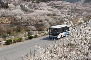 Pay Attention When Taking Public Bus in Qingdao! The Last Departure Times of These 7 Bus Lines Have Changed, Extended by Time