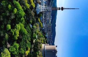 Jinan: Calm Breeze, Gentle Sunshine, and a Serene Heart Amidst Flowers and Willows