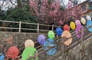 Gengzi March in Xi'an, Shaanxi Province: Ajuequan Mudan Yu Garden Tulip Sea - Very Beautiful