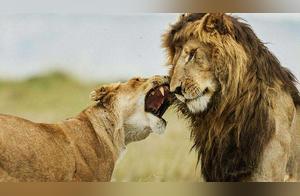 What is the most frequent mating species?