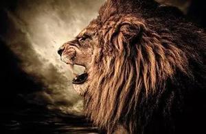 The Lion King's Life: A Growth Diary