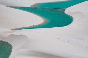 World’s Most ‘Unproductive’ Desert: Annual Rainfall 1600mm, 300 Times That of the Sahara