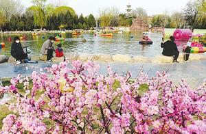 Enjoying the Scenery and Relishing Spring
