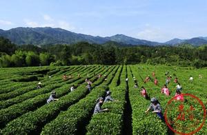 Spring Abounds in Xiaoxiang, Falling in Love with Hunan ② – This is My Ideal Life