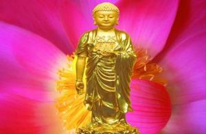 The heart transforms the landscape, and the landscape transforms the heart; follow the flow of circumstances with joy.