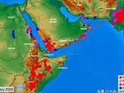 Locusts Fly from Africa to Pakistan: How They Arrived – Three Key Factors