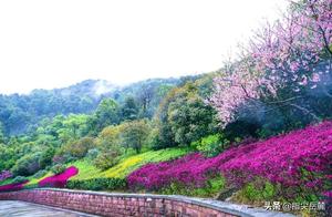 The Beauty of Luofu: A ‘Mountain’ Chapter – Tracing the Footprints of Spring