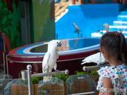 Real-Shot Animals Bring ‘Joyful Moments’ to Tourists – Now, It’s a Bit Embarrassing and Awkward