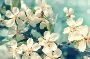 A person should live for themselves, remain detached from worldly affairs, and will not be burdened; learning to let go brings ease; it's important to accept things as they are.