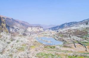 In March, Bijie's Zhi Jin Dong Ma Wo Village Hidden Village, Cherry Blossoms Have Quietly Bloomed!