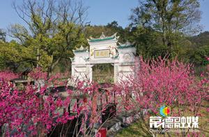 Don't Waste the Good Spring Days in Taohuatan