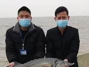 4.6kg Strange Fish Washed Ashore in Hangzhou Bay Tidal Flat – It Was a Wild Chinese Sturgeon